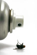 insektenspray