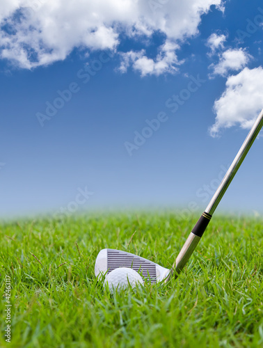 Photo: golf ball and iron on tall grass golf ball and iron on tall grass