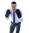 Angry corporate male wearing boxing gloves