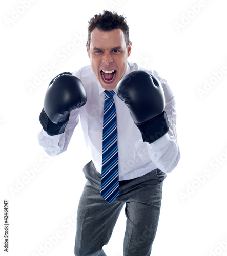 Photo: Angry corporate male wearing boxing gloves Angry corporate male wearing boxing gloves