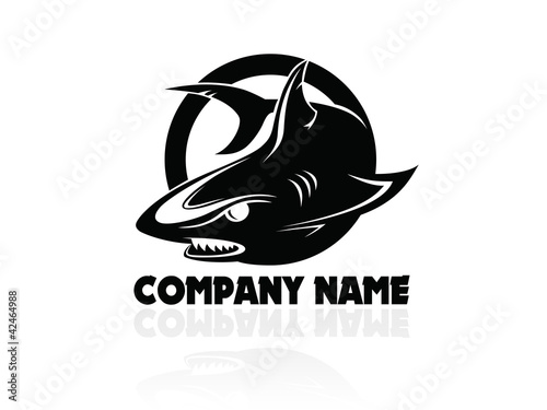Vector: The vector Shark logo The vector Shark logo