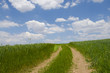 Rural landscape with road and blue sky