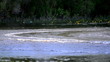 water ski