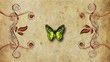Video: animated decorative painting background flying butterfly animated decorative painting background flying butterfly