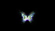 Video: animated decorative butterfly background animated decorative butterfly background