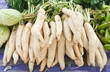radish