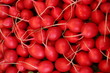 Red radishes
