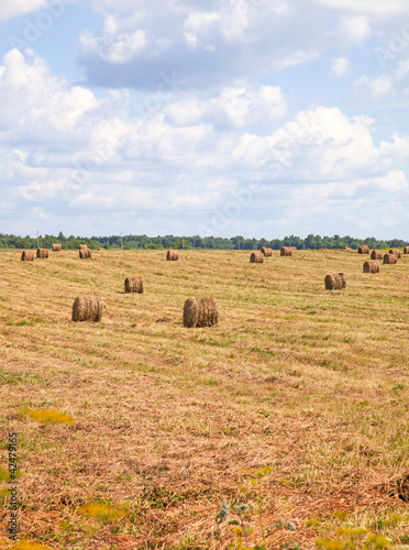 Photo: Straw bales Straw bales