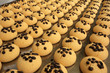 Photo: Cookie Cookie
