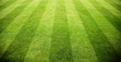 schöner Fussballrasen