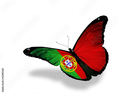 Illustration: Portuguese flag butterfly flying, isolated on white background Portuguese flag butterfly flying, isolated on white background
