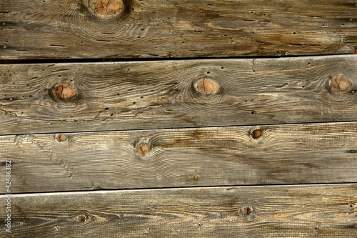 Photo: Wood Wood
