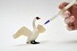 Vogelgrippe