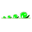 Vector: four snail in green color in the grass four snail in green color in the grass