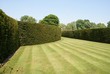 lawn and hedges