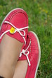 Foto: rote Flipflops rote Flipflops