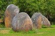 Almendres 04