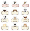 Dog / Cat_Nameplate