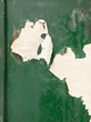 peeling green paint