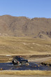 Car crossing small river in Northern Mongolia, Mongolia