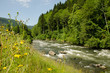 Rapides sur le doubs en aval de Soubey.
