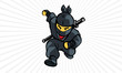 Ninja Charge