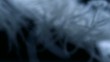 Feather in wind, Slow Motion