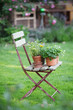 Stuhl mit Blumen im Garten
