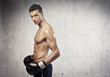 Boxer