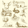 farm animals