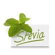 stevia rebaudiana, édulcorant naturel, sucre