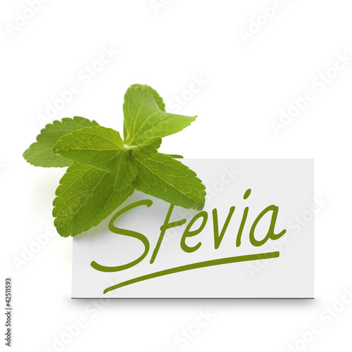 Foto: stevia rebaudiana, édulcorant naturel, sucre stevia rebaudiana, édulcorant naturel, sucre