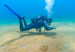 Lady diver