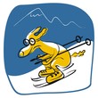 Skiing Dog