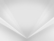 Light-Gray-White (Silver) background BoxRiden-SG 001, white mesh