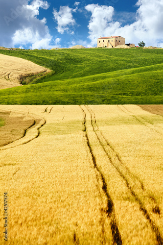 Photo: image of typical tuscan landscape image of typical tuscan landscape