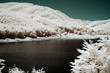 lago montagna paesaggio boschi infrarosso