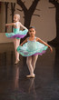 Two Adorable Ballet Students