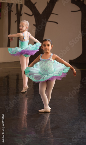 Photo: Two Adorable Ballet Students Two Adorable Ballet Students