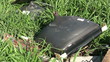 Electronic Waste in the Nature