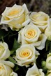 Bouquet Of White Roses And Yel...
