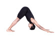 surya namaskar dog pose