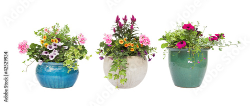 Foto: Spring Summer flower pots isolated on white Spring Summer flower pots isolated on white