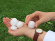 Hail after storm in hand