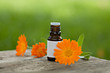 Bottles of essential oil and calendula flowers