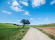 country road