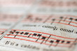 fragments of the Latin missal