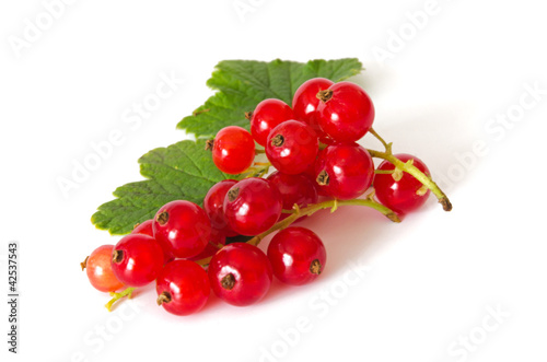 Foto: Johannisbeeren Johannisbeeren