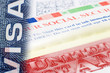 visa social security