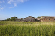 summer reed beds and barns
